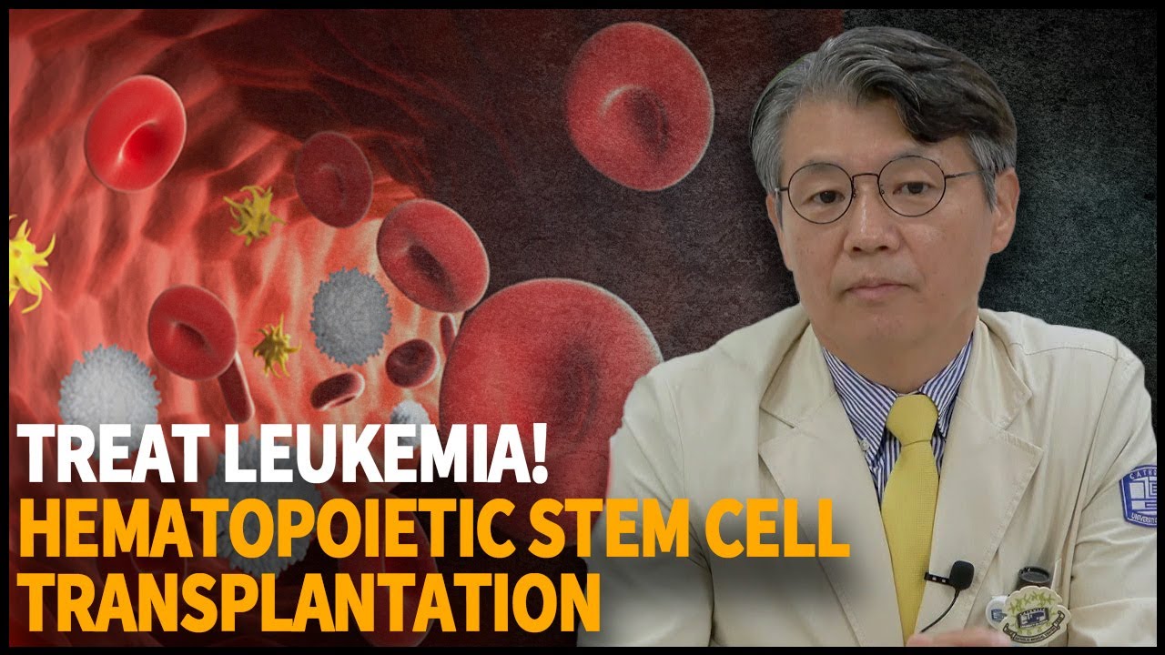 조혈모세포이식 | 엄기성 교수