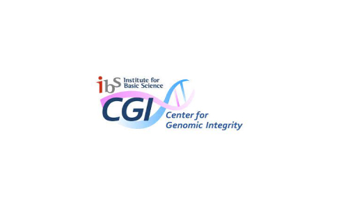 기초과학연구원 유전체항상성연구단 IBS CGI 로고 이미지