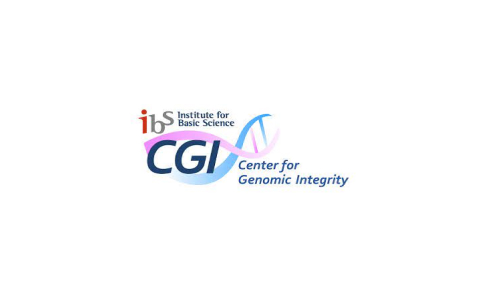 Logo of Ibs CGI