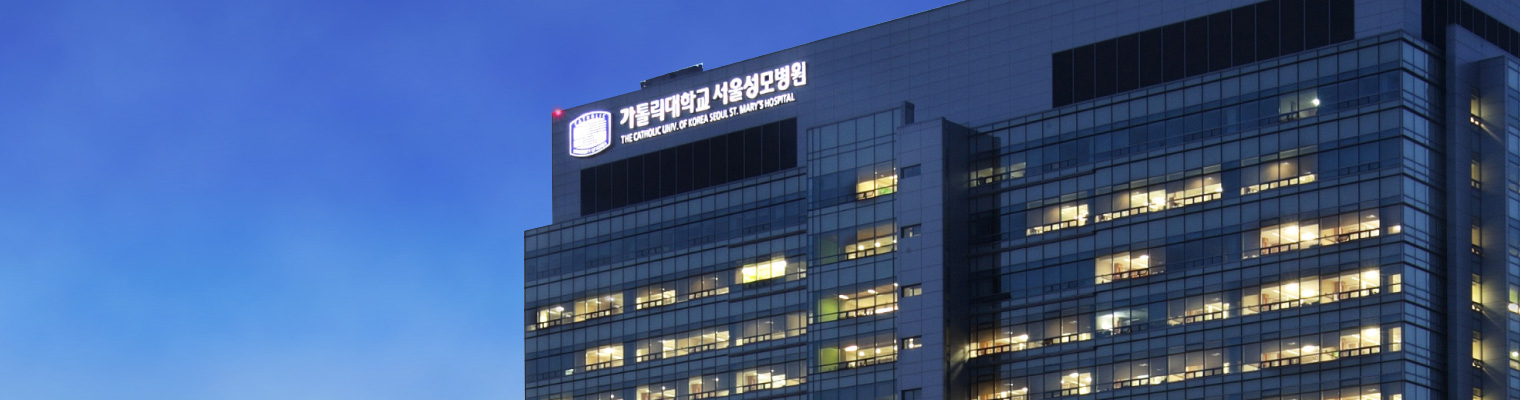 Catholic Hematology Hospital / Seoul ST. Mary's Hospital image