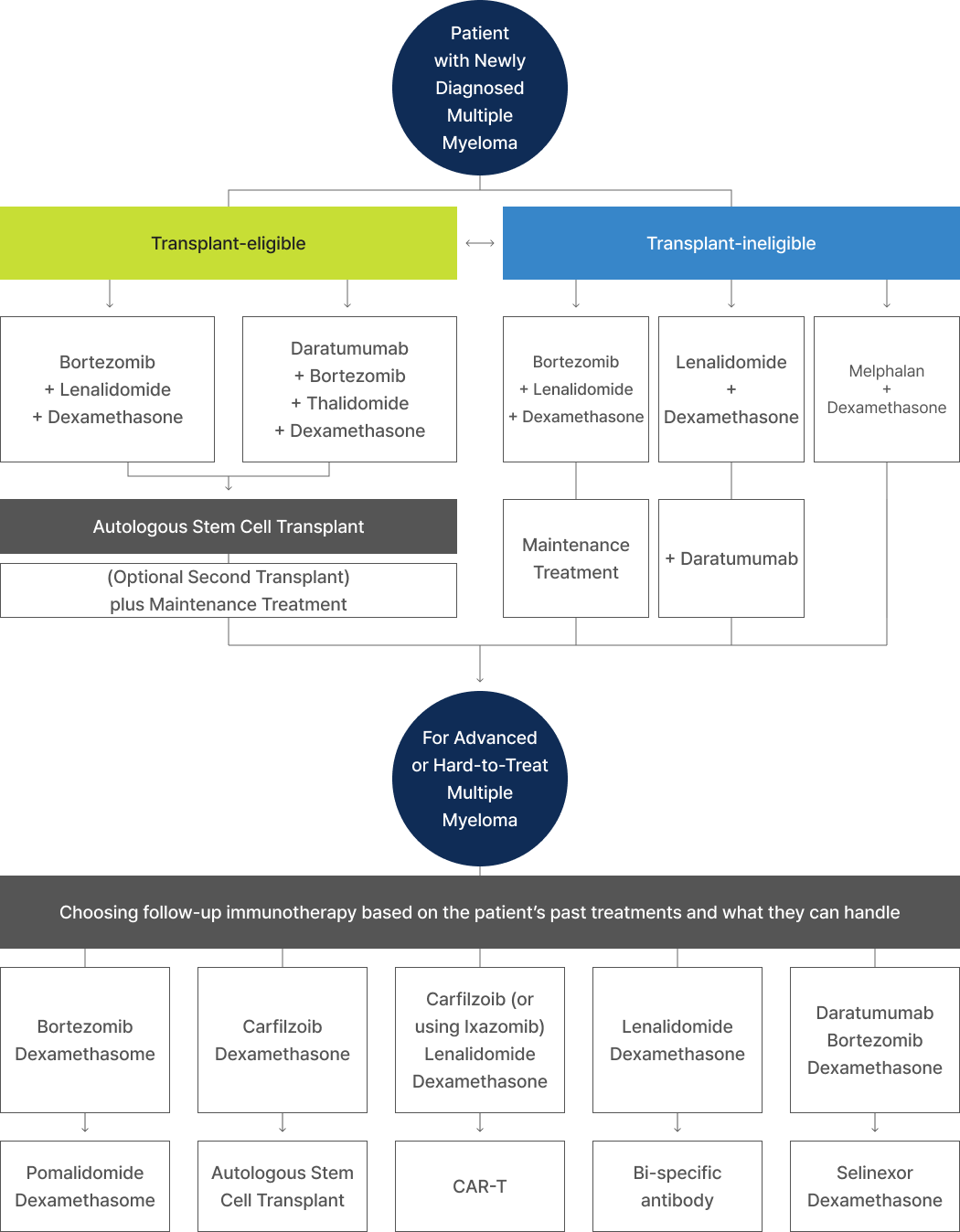 reference: Korean multiple myeloma treatment strategy, 2023 by Chang-Ki Min