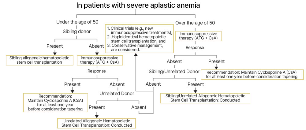 source: Korean Journal of Internal Medicine, Seung-Hwan Shin and Jong-Wook Lee, Recent advances in treatment of aplastic anemia, 2014