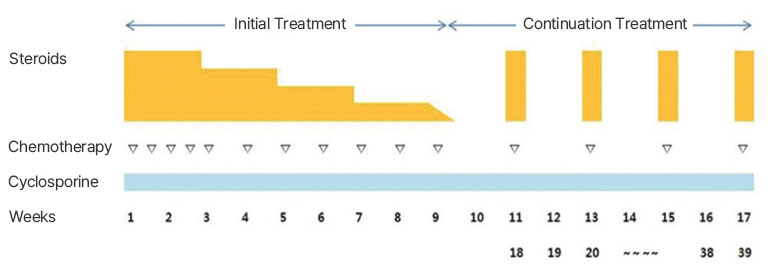 Treatment phases (HLH-2004 protocol)