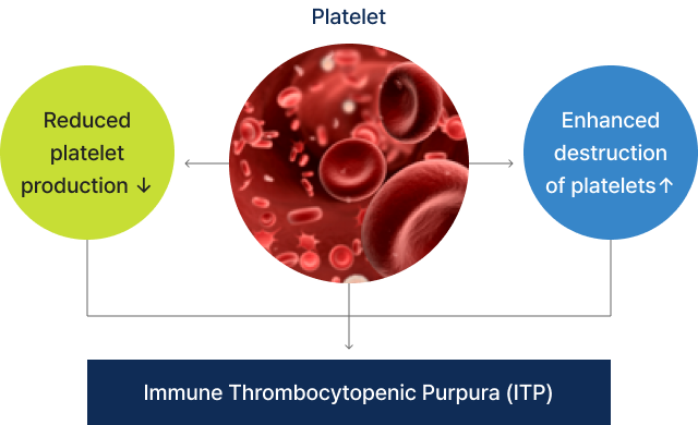 Immune Thrombocytopenic Purpura (ITP)