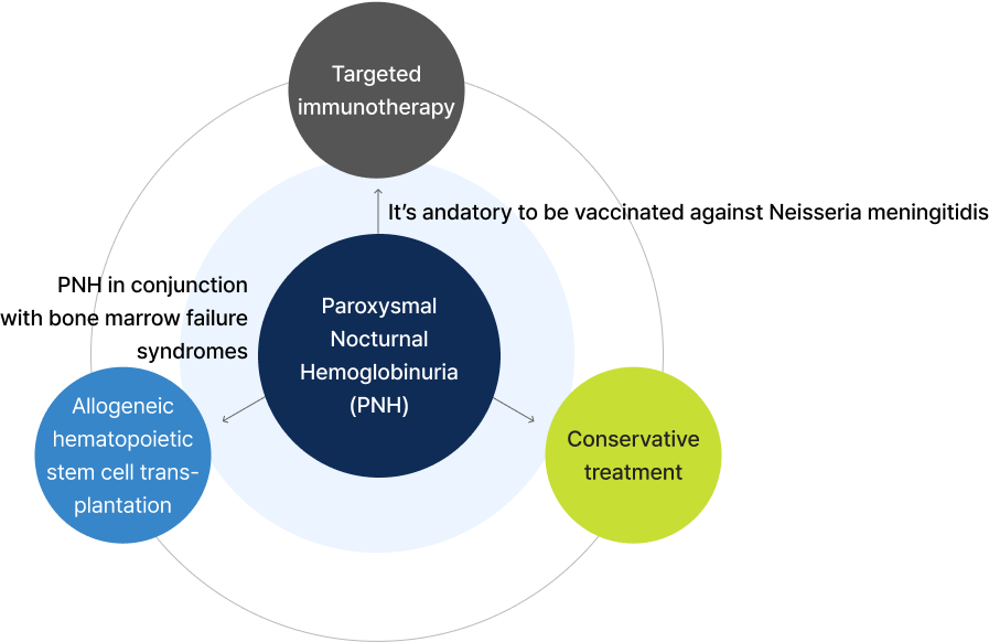 Customized treatment approach for paroxysmal nocturnal hemoglobinuria