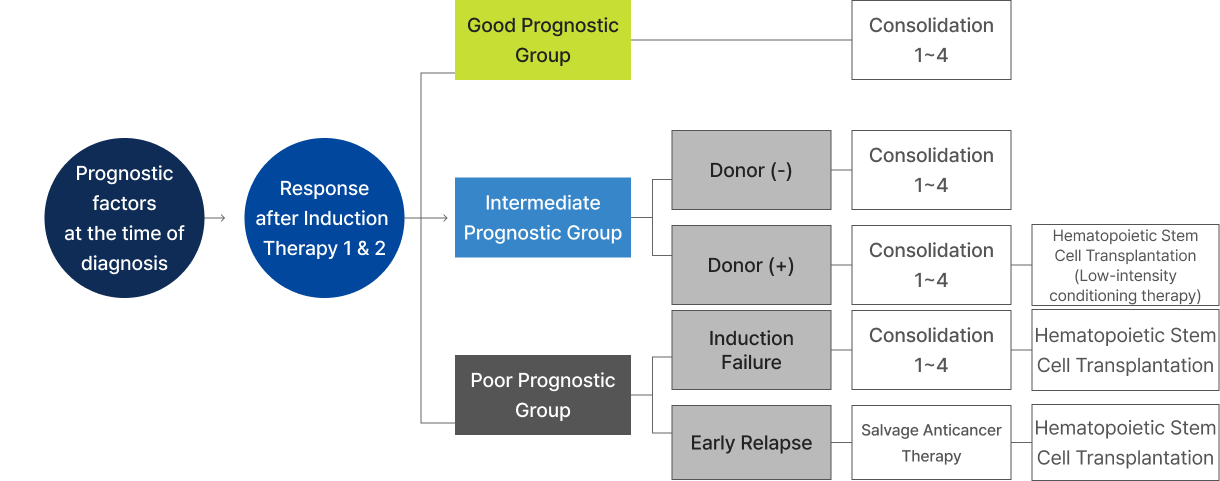 Response after Induction Therapy, post-remission therapy