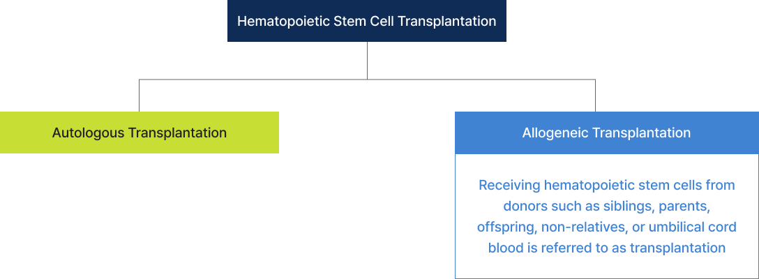 Hematopoietic stem cell transplantation includes autologous transplantation and allogeneic transplantation in which hematopoietic stem cells are transplanted from donors such as brothers or sisters, parents or children, non-blood ties, and umbilical cord blood.