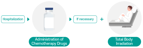 Hospitalization -> Administration of Chemotherapy Drugs -> (If necessary) Total Body Irradiation