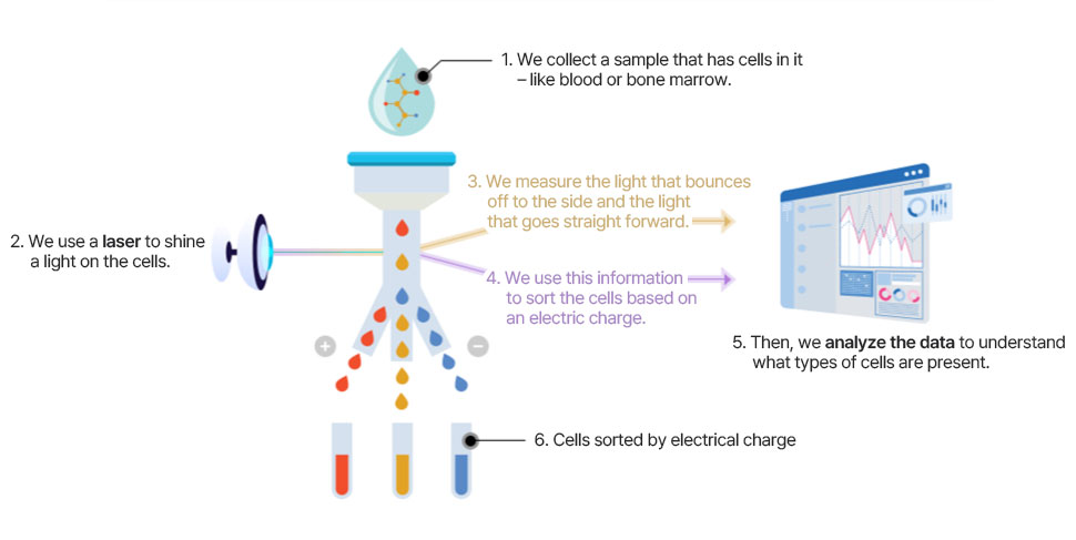 Overview image of the principles of flow cytometry and flow cytometry