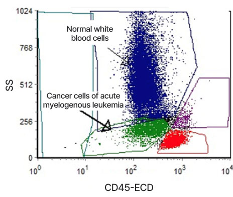 Example image of flow cytology