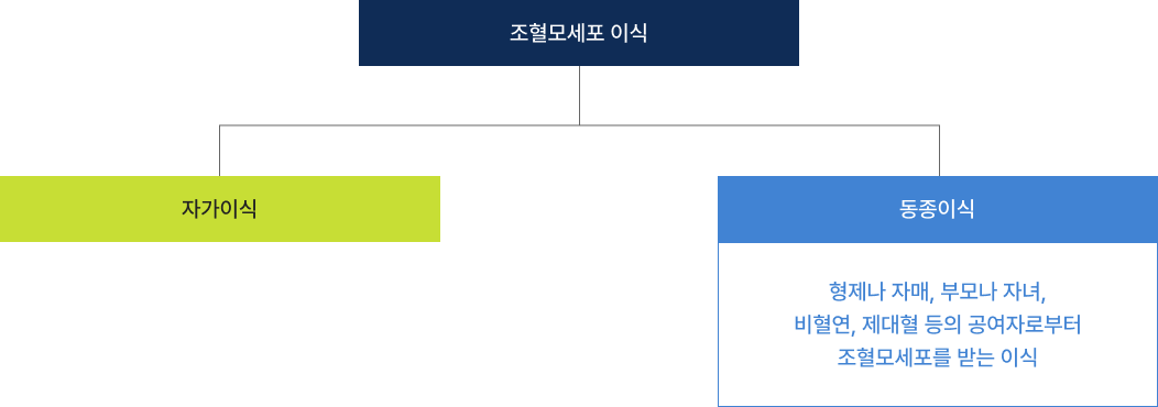 조혈모세포 이식에는 자가이식과 형제나 자매, 부모나 자녀, 비혈연, 제대혈 등의 공여자로부터 조혈모세포를 이식 받는 동종이식이 있습니다.