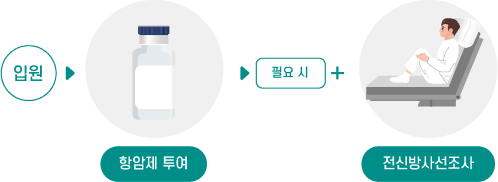 입원 -> 항암제 투여 -> (필요 시) 전신방사선조사